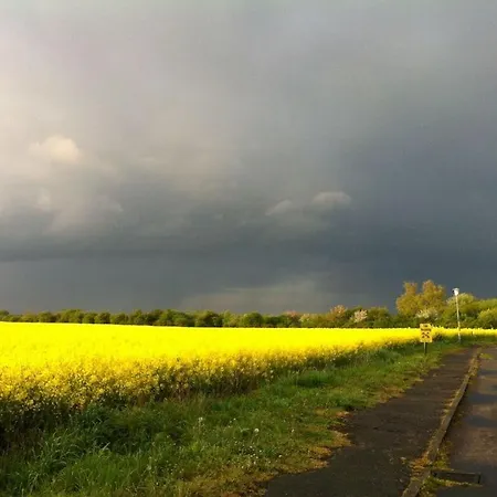 Harbor * Гросенброде